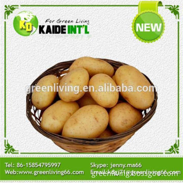 Fresh Potato Manufacturer